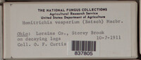Image Associated With the Occurence
